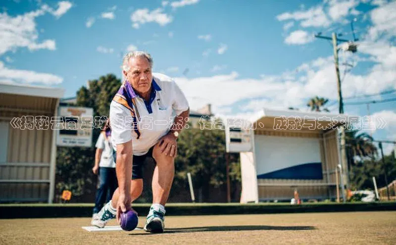 天富在线登录顺丰《揭秘云南足球新星高一杰：传奇经历、成就与未来展望》