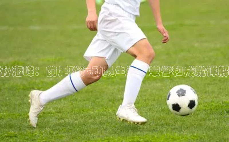 天富测速网页版登录入口百度学术孙海峰：前足球运动员生涯、荣誉和成就详解