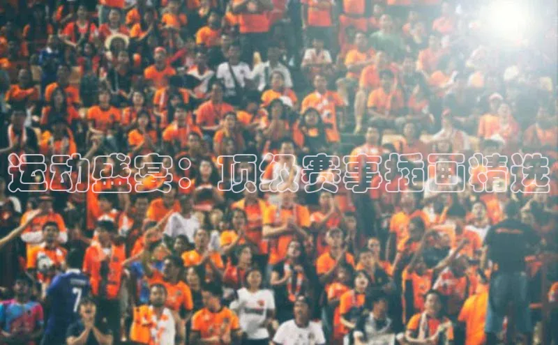 天富娱乐注册百度翻译App运动盛宴：顶级赛事插画精选