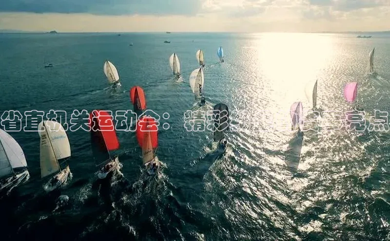 天富注册登录官网百度手机卫士省直机关运动会：精彩纷呈的赛事亮点