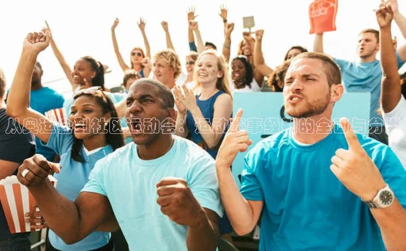 从奥运会到社区运动会：运动赛事级别的全面与分类