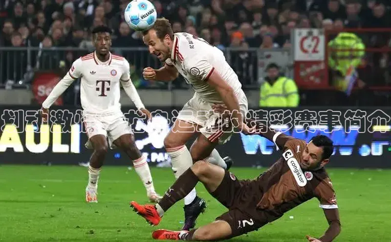 划动激情：龙舟运动的精彩赛事简介