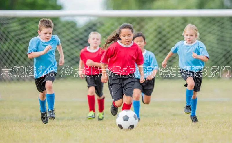 京城魅力：盘点北京各大运动赛事精彩瞬间