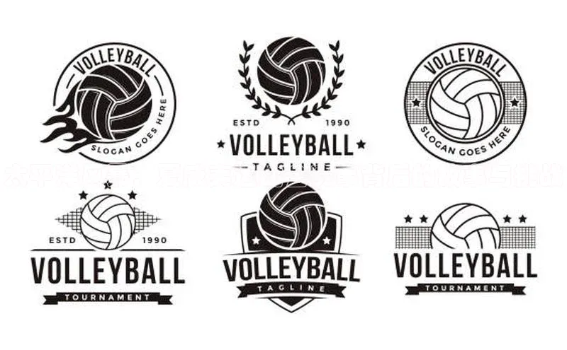 太平洋风暴：夏威夷运动会赛事背后的故事与挑战