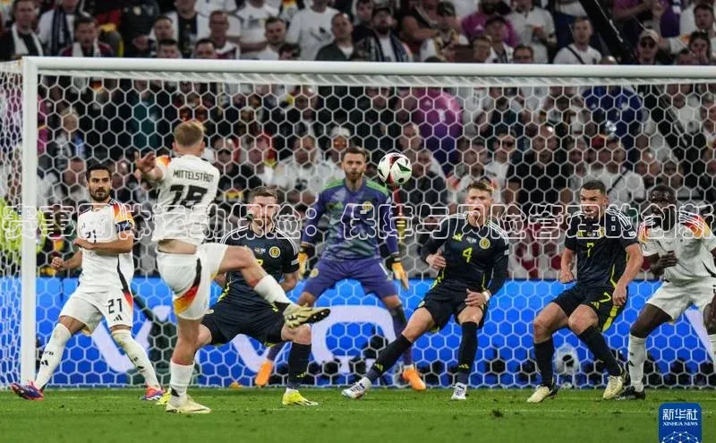 赛事团体运动保险：保障与风险管理的创新