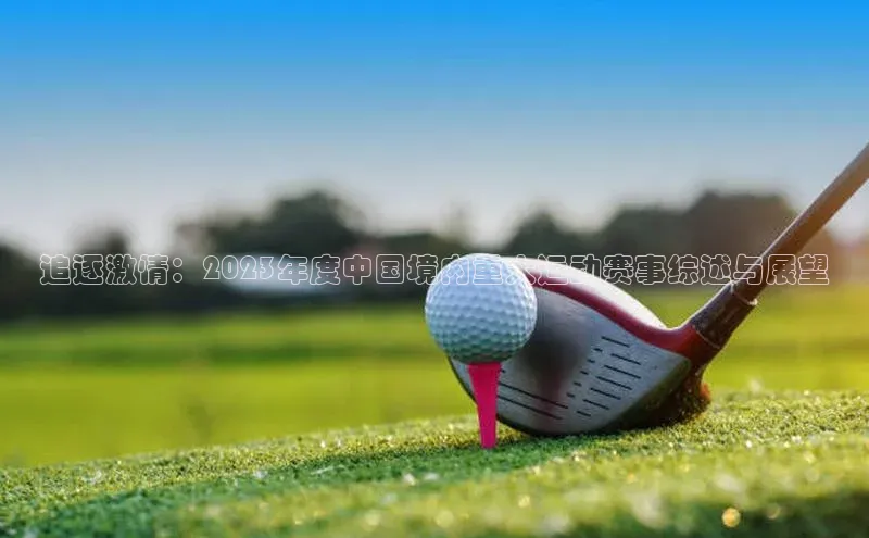 追逐激情：2023年度中国境内重大运动赛事综述与展望