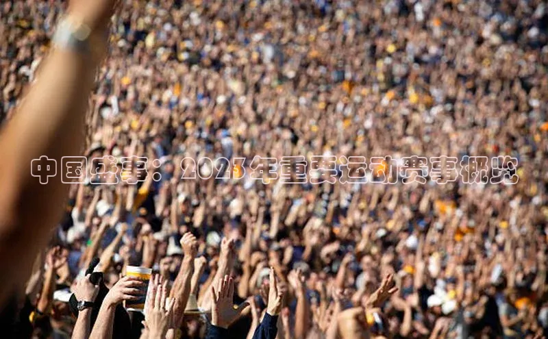 中国盛事：2023年重要运动赛事概览