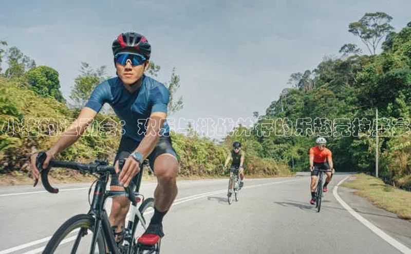 小猪的运动会：欢乐与挑战并存的乐趣竞技盛宴