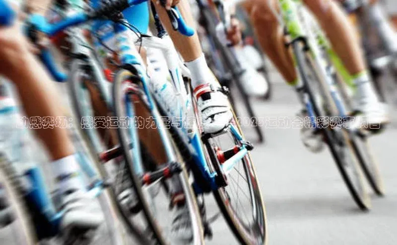 动感赛场：感受运动的力量与速度——2023运动会精彩赛事预告