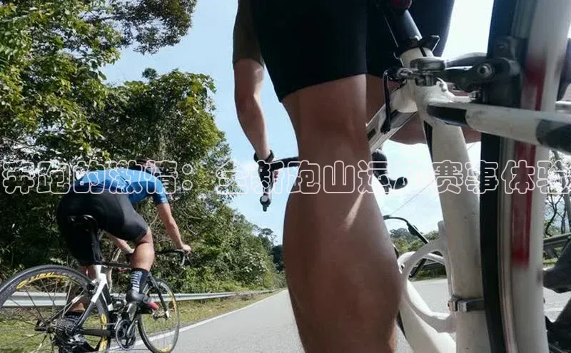 奔跑的激情：全新跑山运动赛事体验