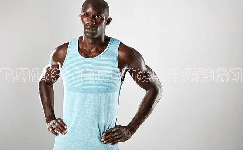 飞羽健将：信鸽运动赛事的精彩瞬间