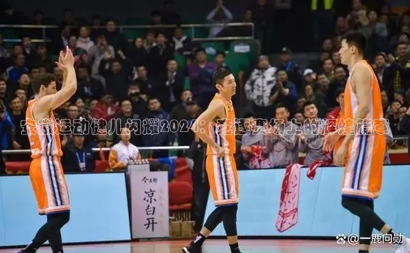 安徽运动健儿闪耀2024：竞逐赛场上的辉煌篇章