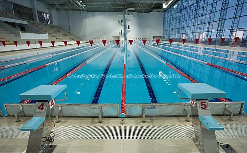 UnderstandingSports:ABriefIntroductioninEnglish