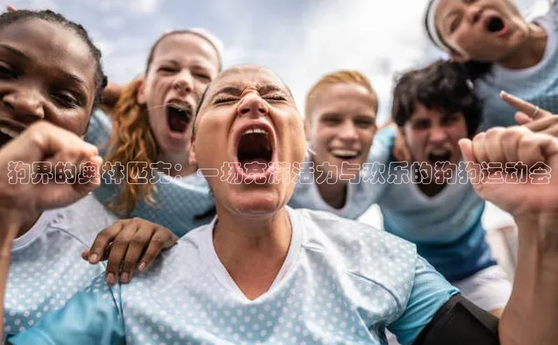 狗界的奥林匹克：一场充满活力与欢乐的狗狗运动会